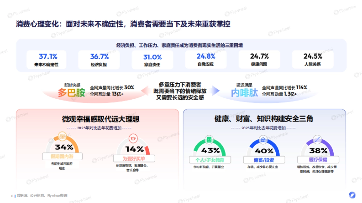 当下与未来-2025年度电商趋势报告-Flywheel飞未.pdf_第6页