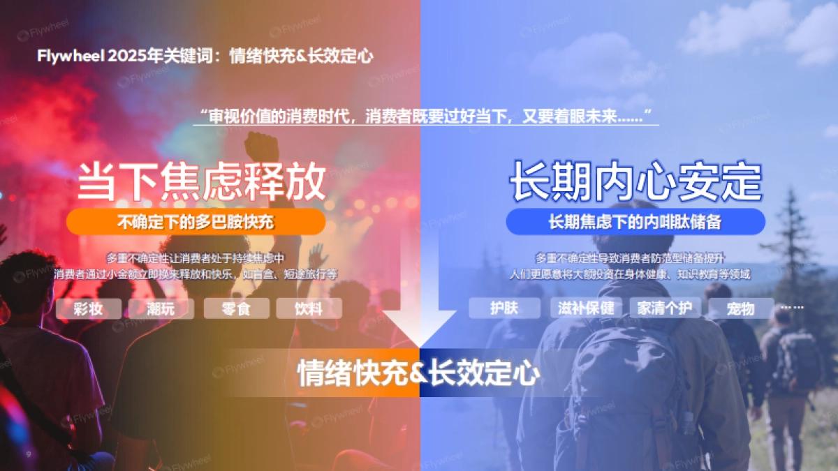 当下与未来-2025年度电商趋势报告-Flywheel飞未.pdf_第9页