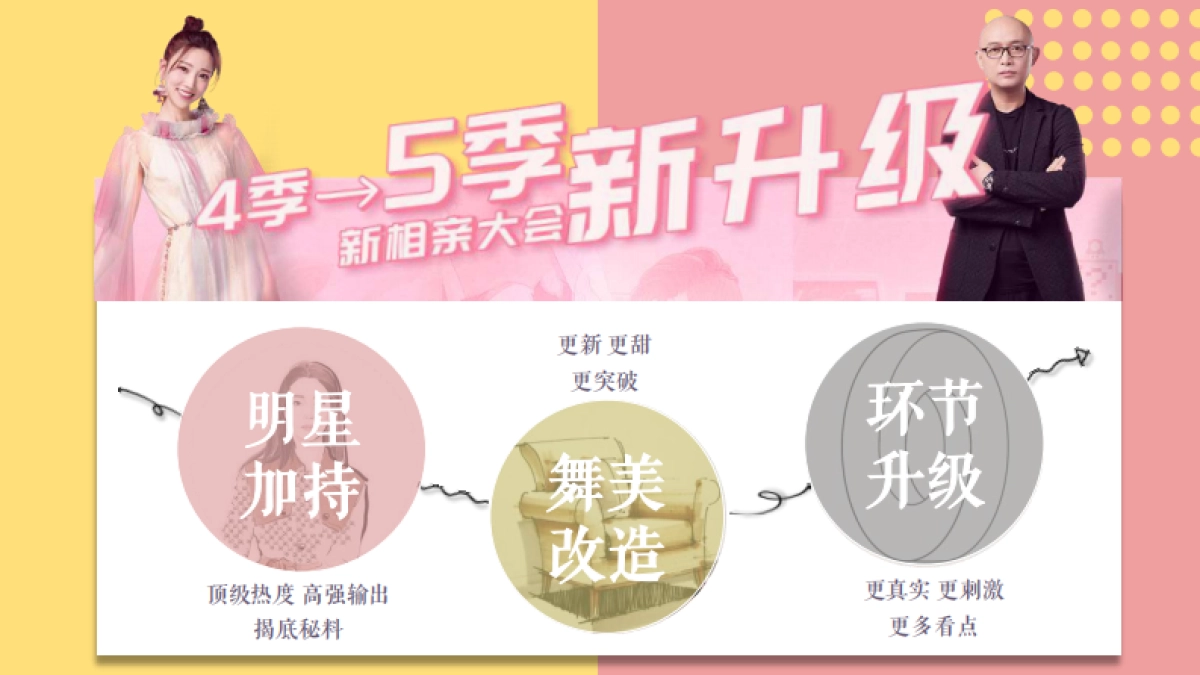 江苏卫视2021年《新相亲大会》第五季之明星红娘节目介绍_第2页