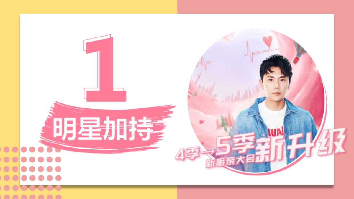 江苏卫视2021年《新相亲大会》第五季之明星红娘节目介绍_第3页