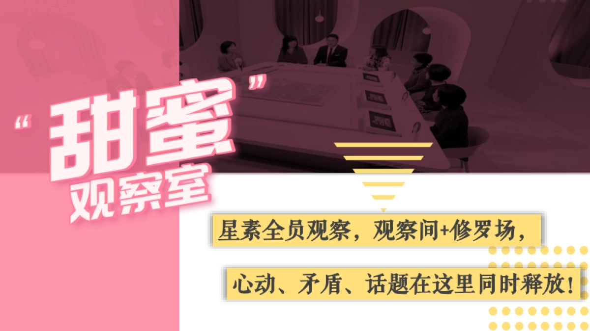 江苏卫视2021年《新相亲大会》第五季之明星红娘节目介绍_第4页