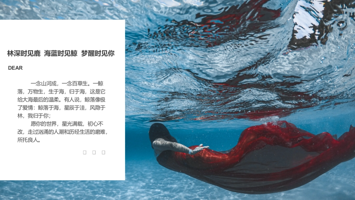 鲸落于海我归于你蓝色婚礼宴会策划方案-24P_第2页