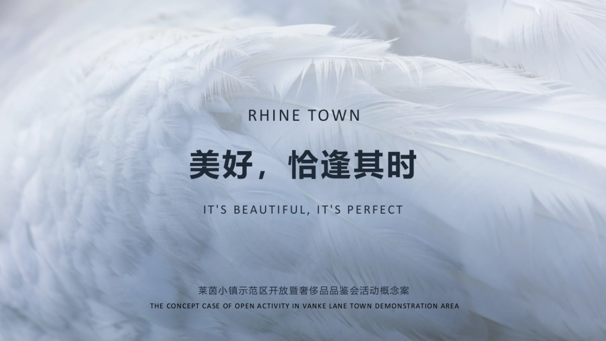 莱茵小镇示范区开放暨奢侈品品鉴会活动概念案_第1页