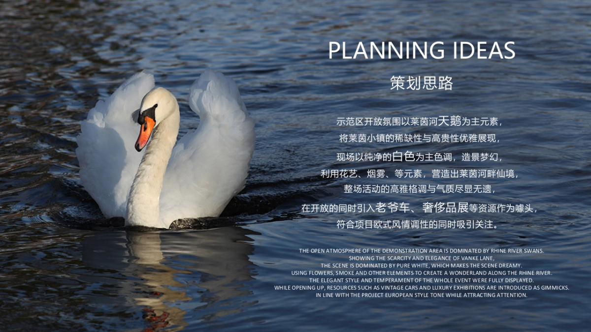 莱茵小镇示范区开放暨奢侈品品鉴会活动概念案_第5页