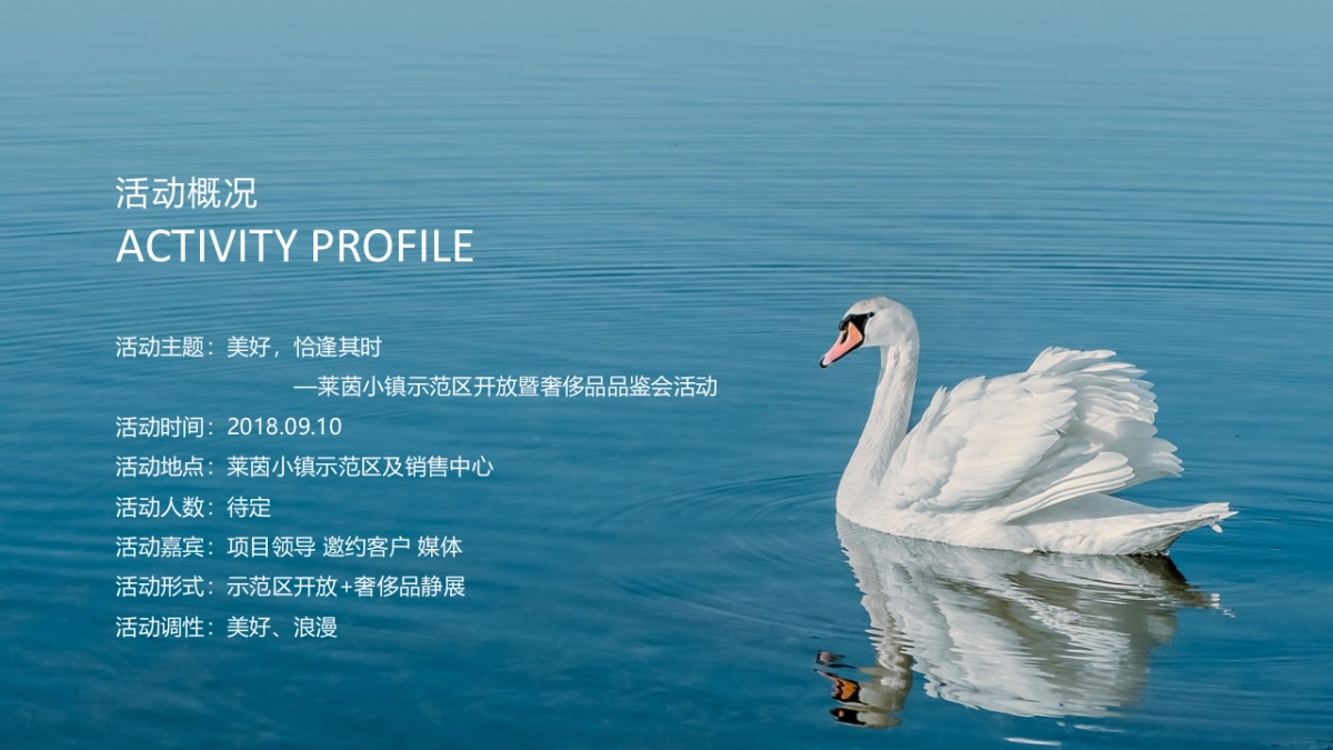 莱茵小镇示范区开放暨奢侈品品鉴会活动概念案_第6页