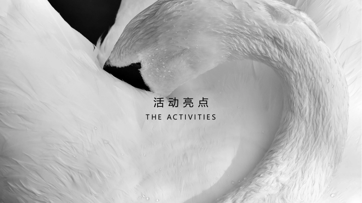 莱茵小镇示范区开放暨奢侈品品鉴会活动概念案_第7页