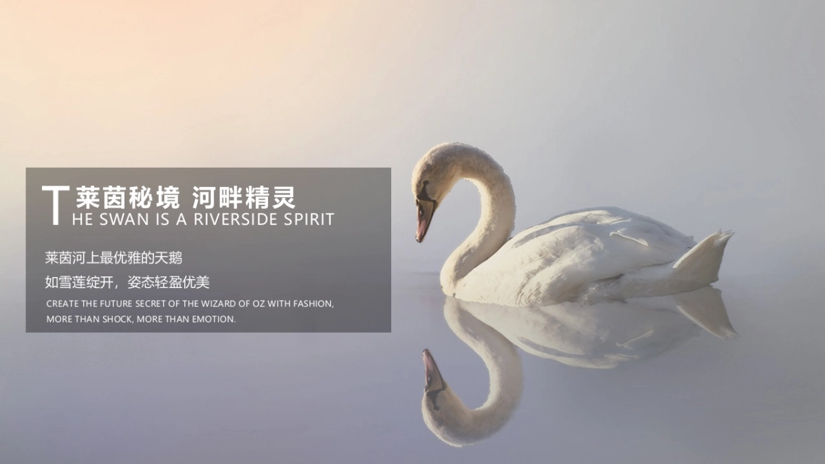 莱茵小镇示范区开放暨奢侈品品鉴会活动概念案_第8页