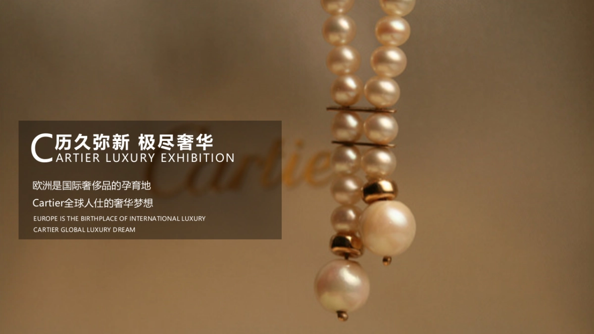 莱茵小镇示范区开放暨奢侈品品鉴会活动概念案_第9页