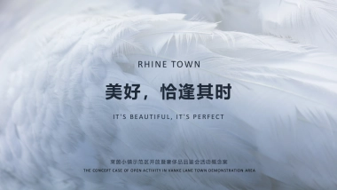 莱茵小镇示范区开放暨奢侈品品鉴会活动概念案
