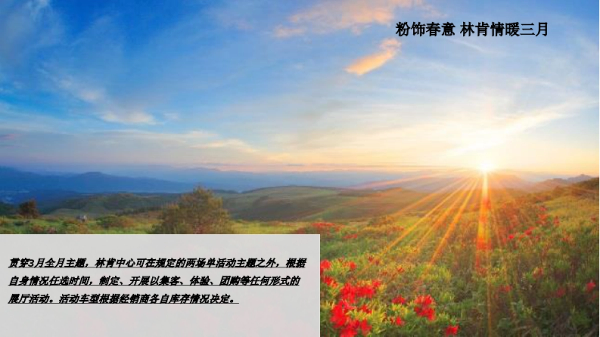 林肯经销商展厅活动方案_第5页