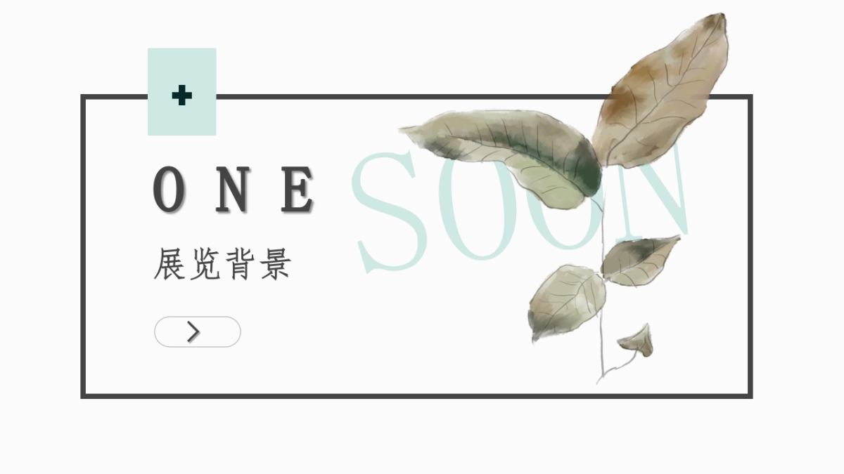 鹭潮流光摄影策展方案_第3页