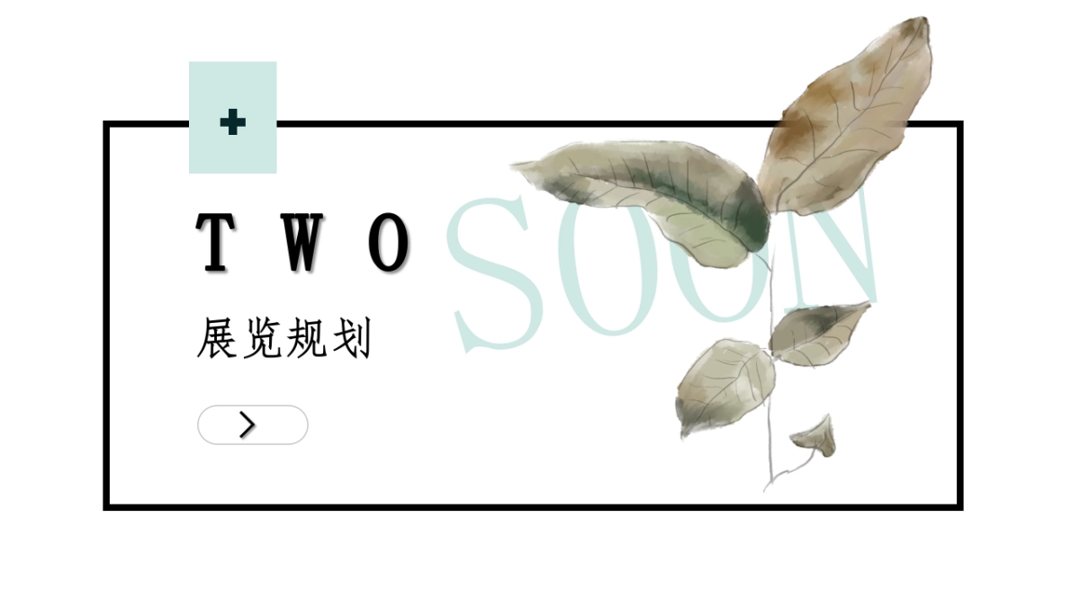 鹭潮流光摄影策展方案_第9页