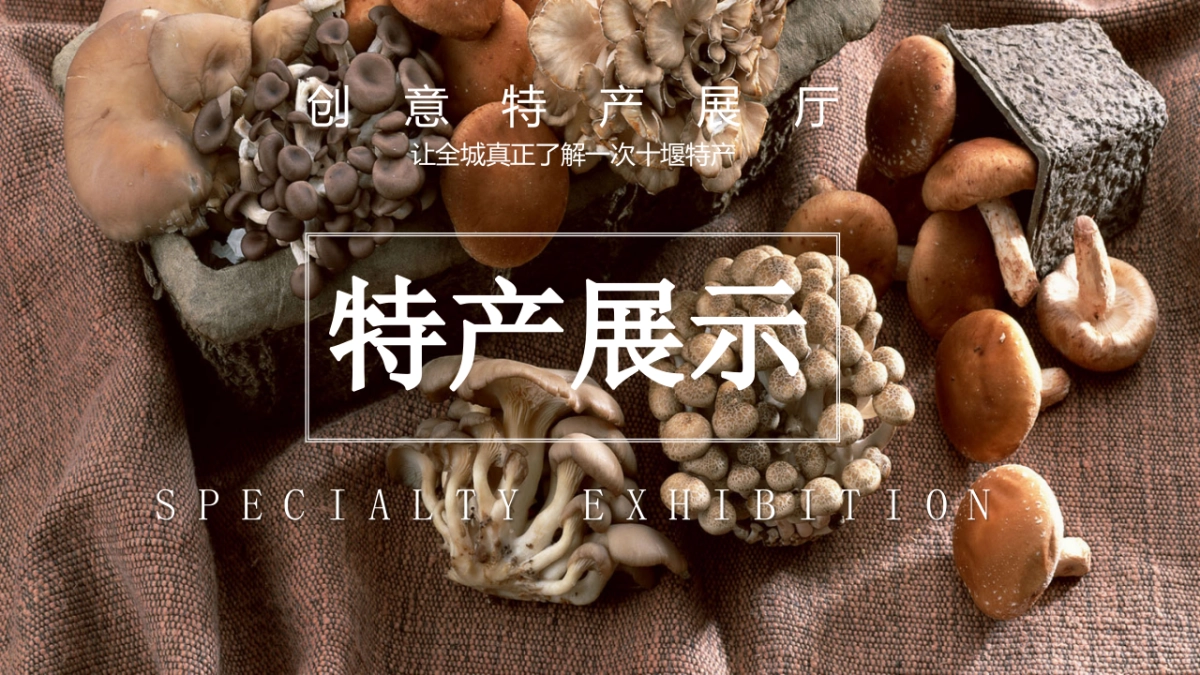 农场品展销会活动策划方案_第4页