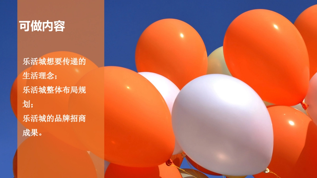 欧亚大观乐活城推介会方案_第5页