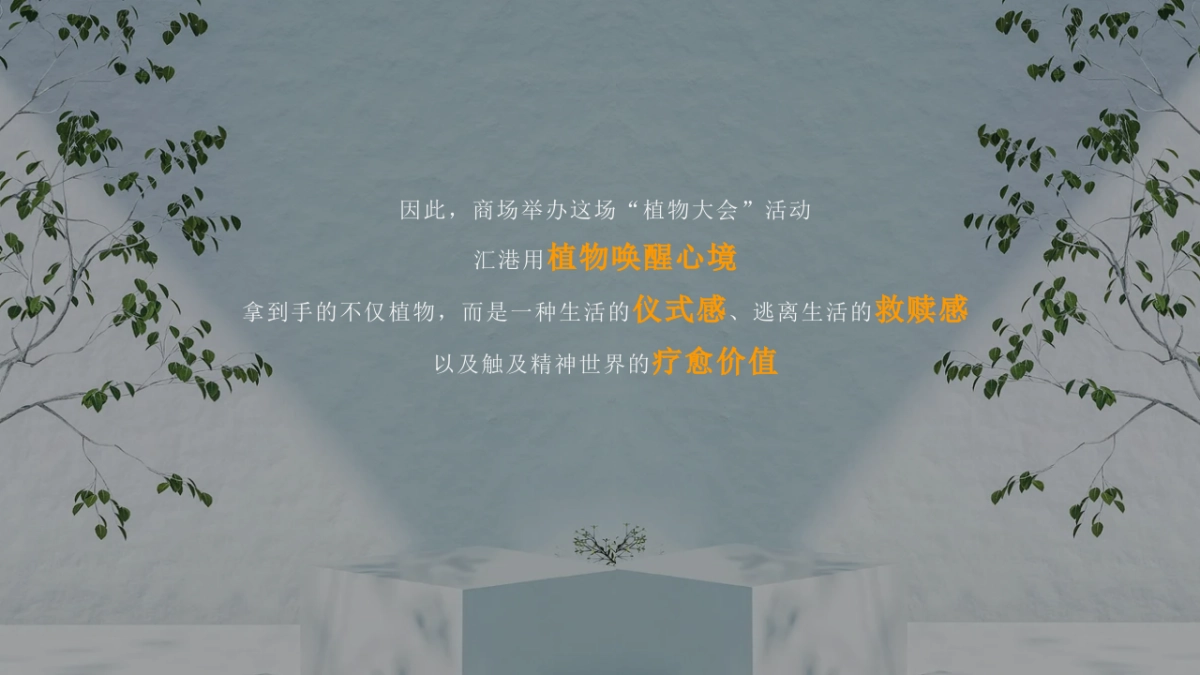 正植青年x放青松乐园植物大会活动方案_第3页