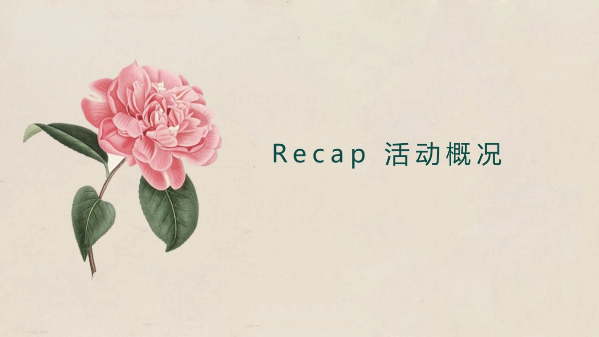 山茶花肌肤油媒体见面会策划案_第3页