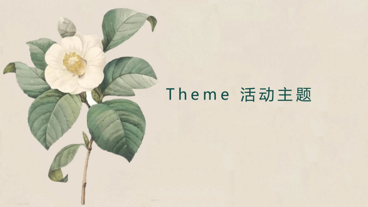 山茶花肌肤油媒体见面会策划案_第6页