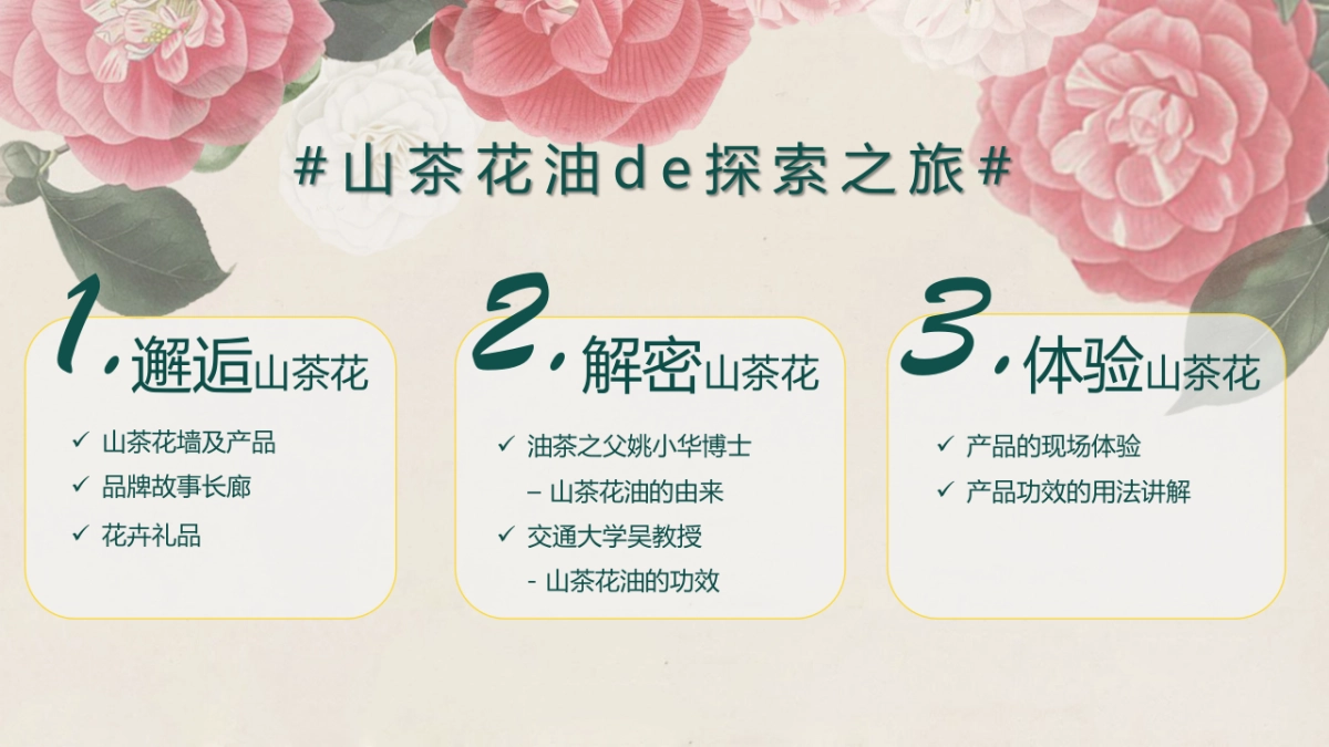 山茶花肌肤油媒体见面会策划案_第8页