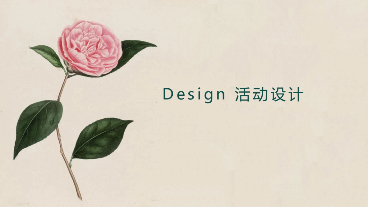 山茶花肌肤油媒体见面会策划案_第9页