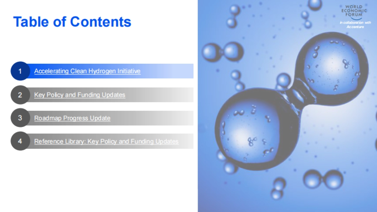 世界经济论坛：欧洲可再生氢的支持措施路线图_第5页