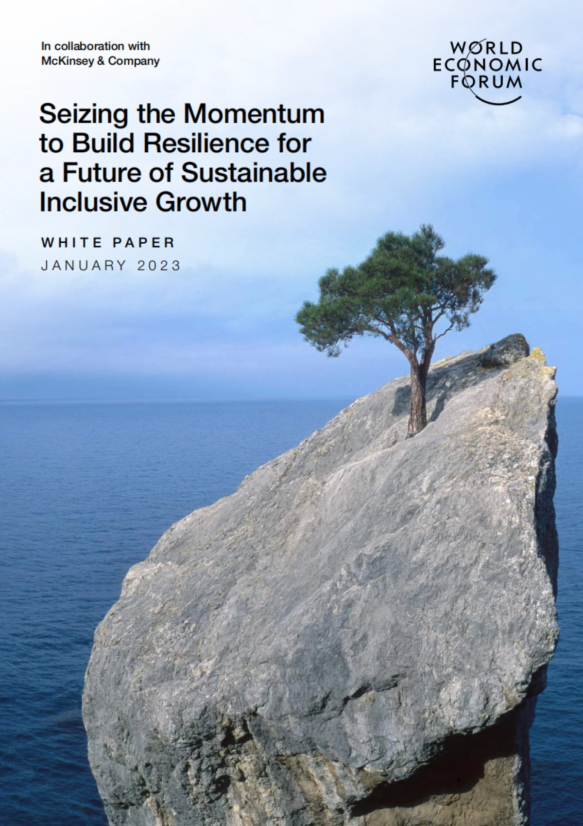 世界经济论坛：抓住势头，为可持续包容性增长的未来建立韧性（英文版）_第1页