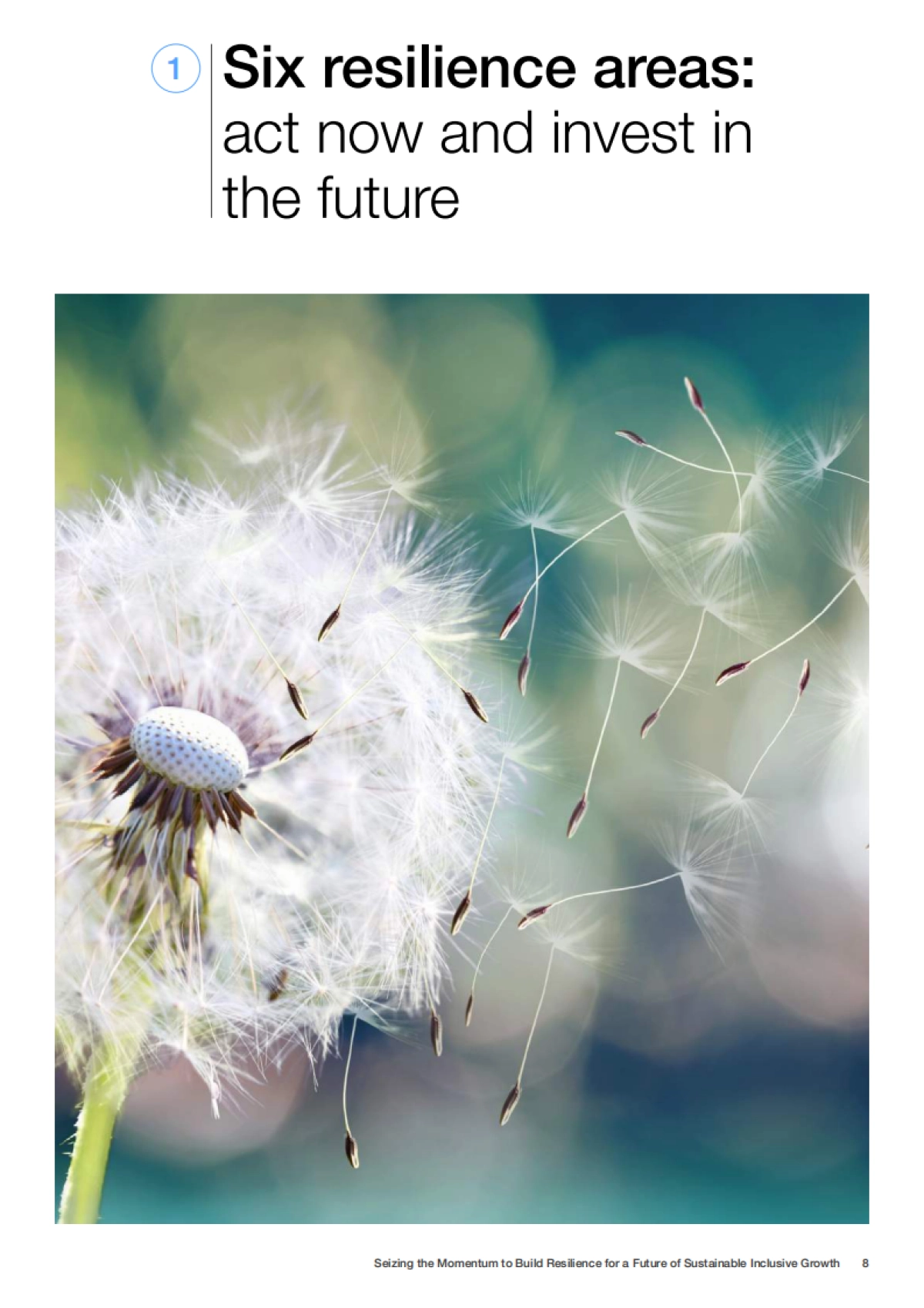 世界经济论坛：抓住势头，为可持续包容性增长的未来建立韧性（英文版）_第8页