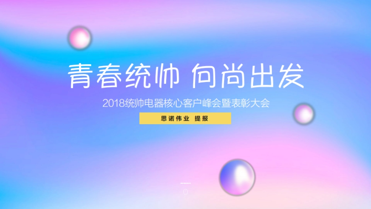 统帅电器核心客户峰会暨表彰大会策划案（思诺伟业 ）_第1页