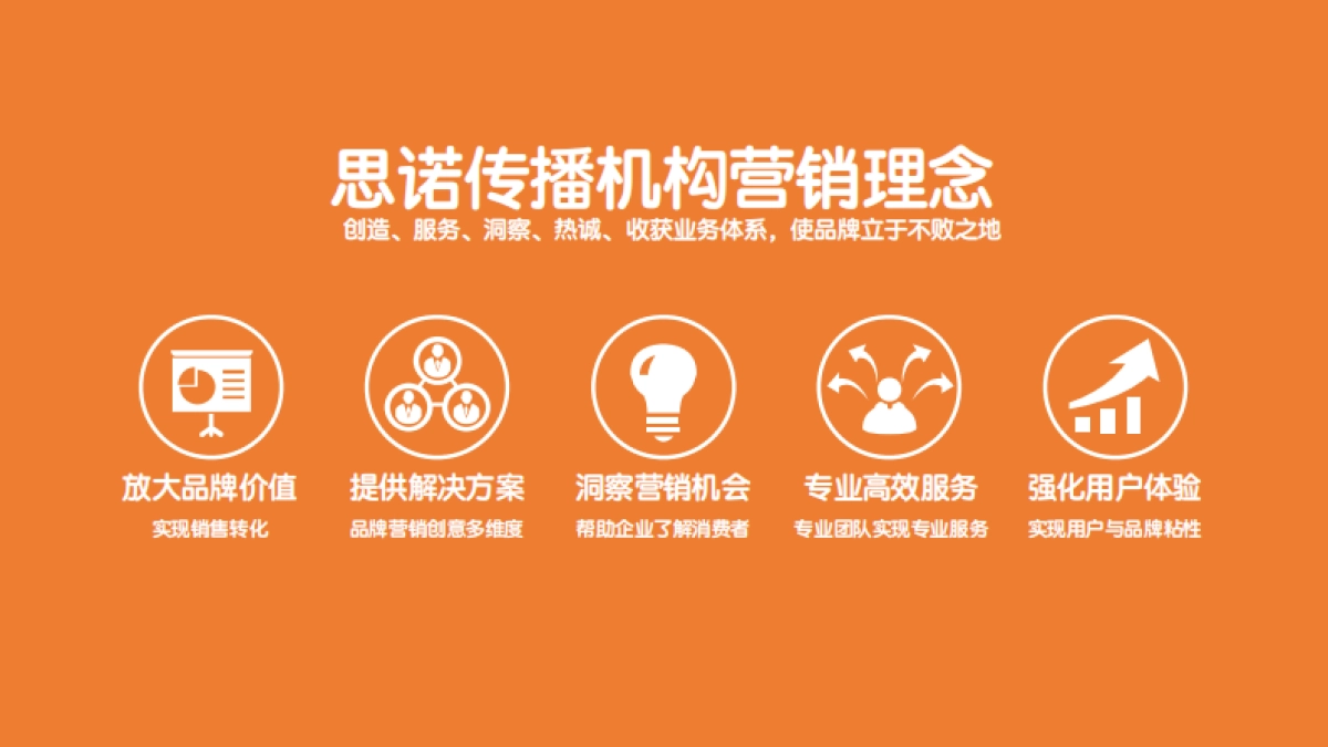 统帅电器核心客户峰会暨表彰大会策划案（思诺伟业 ）_第6页