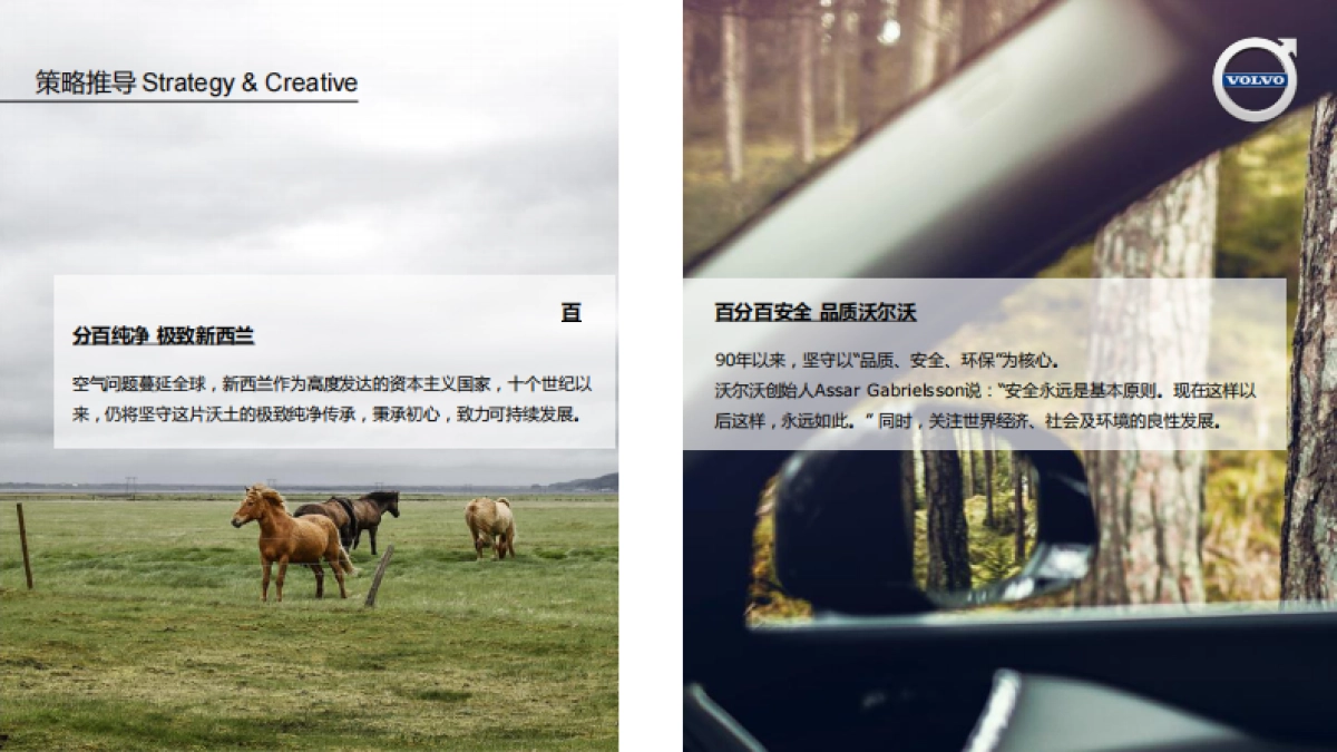 沃尔沃汽车全国经销商会议活动方案_第4页