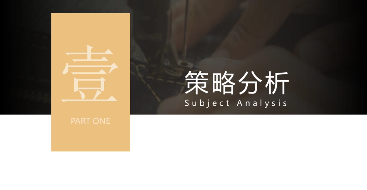 新昌景集团20周年晚会策划方案_第3页