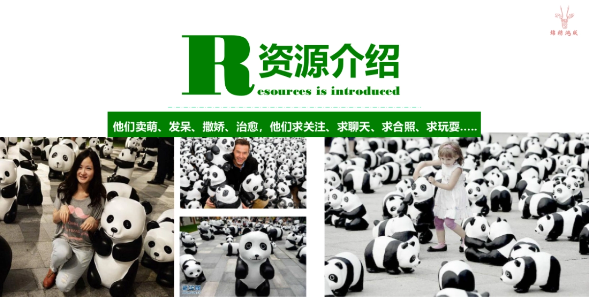 熊猫艺术巡回展活动方案_第7页