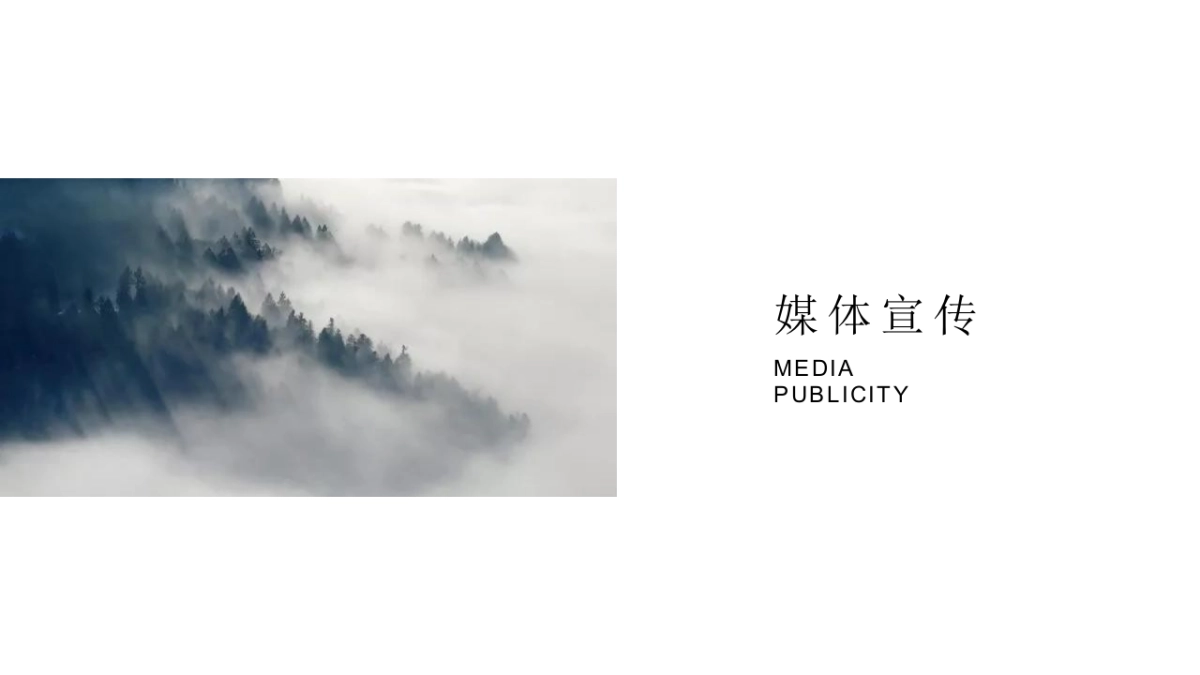 有机农产品推荐会活动策划方案_第4页