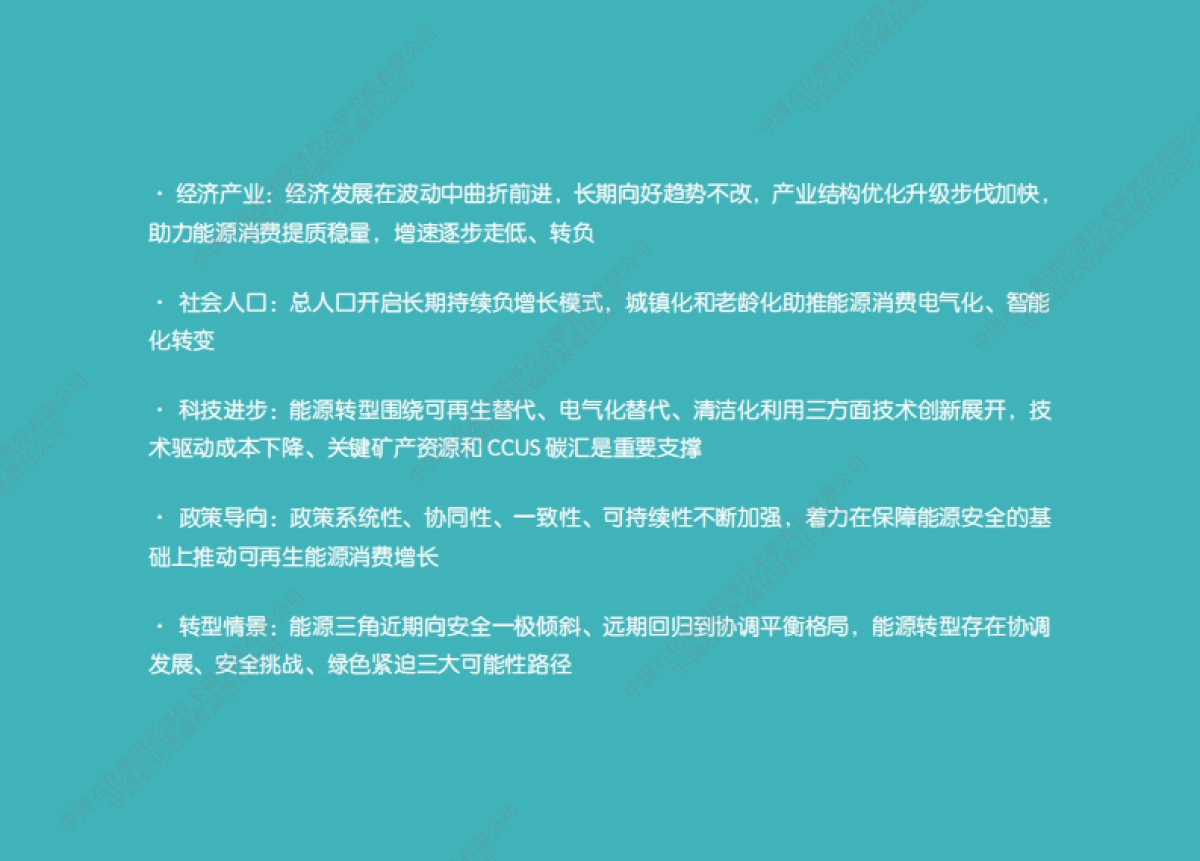 中国石化-中国能源展望2060_第10页