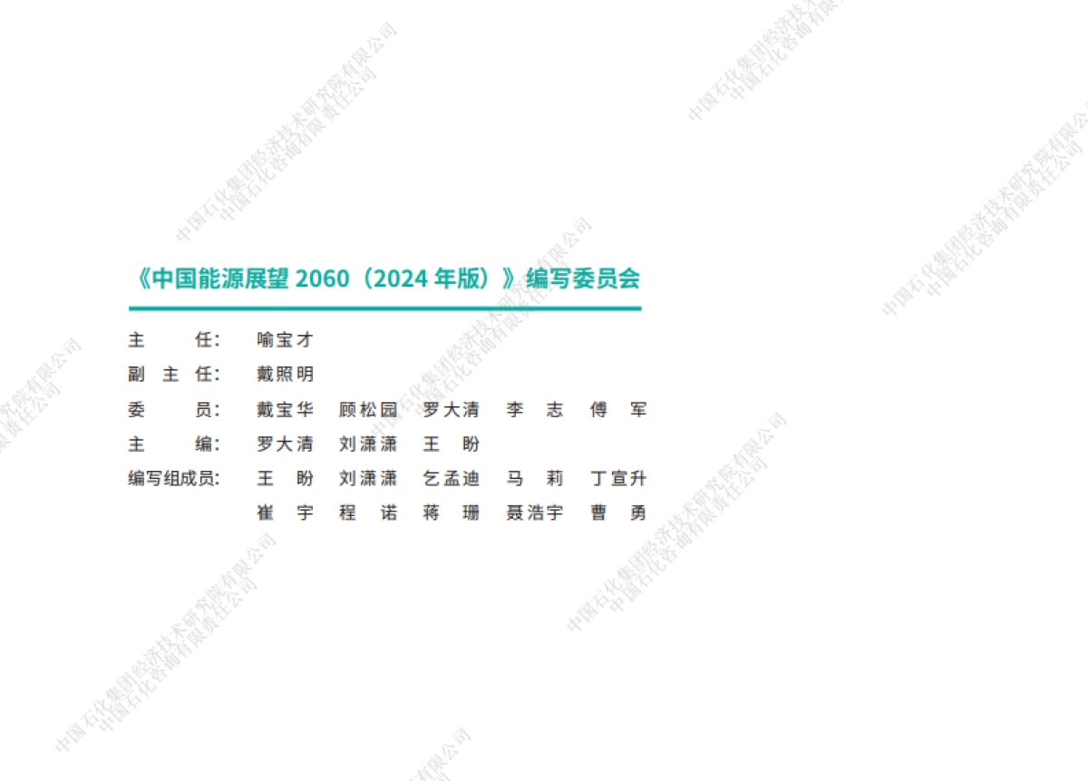 中国石化-中国能源展望2060_第2页