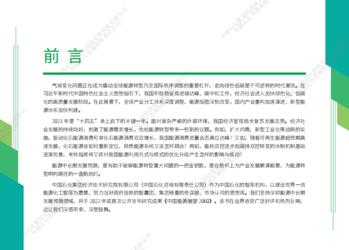 中国石化-中国能源展望2060_第3页