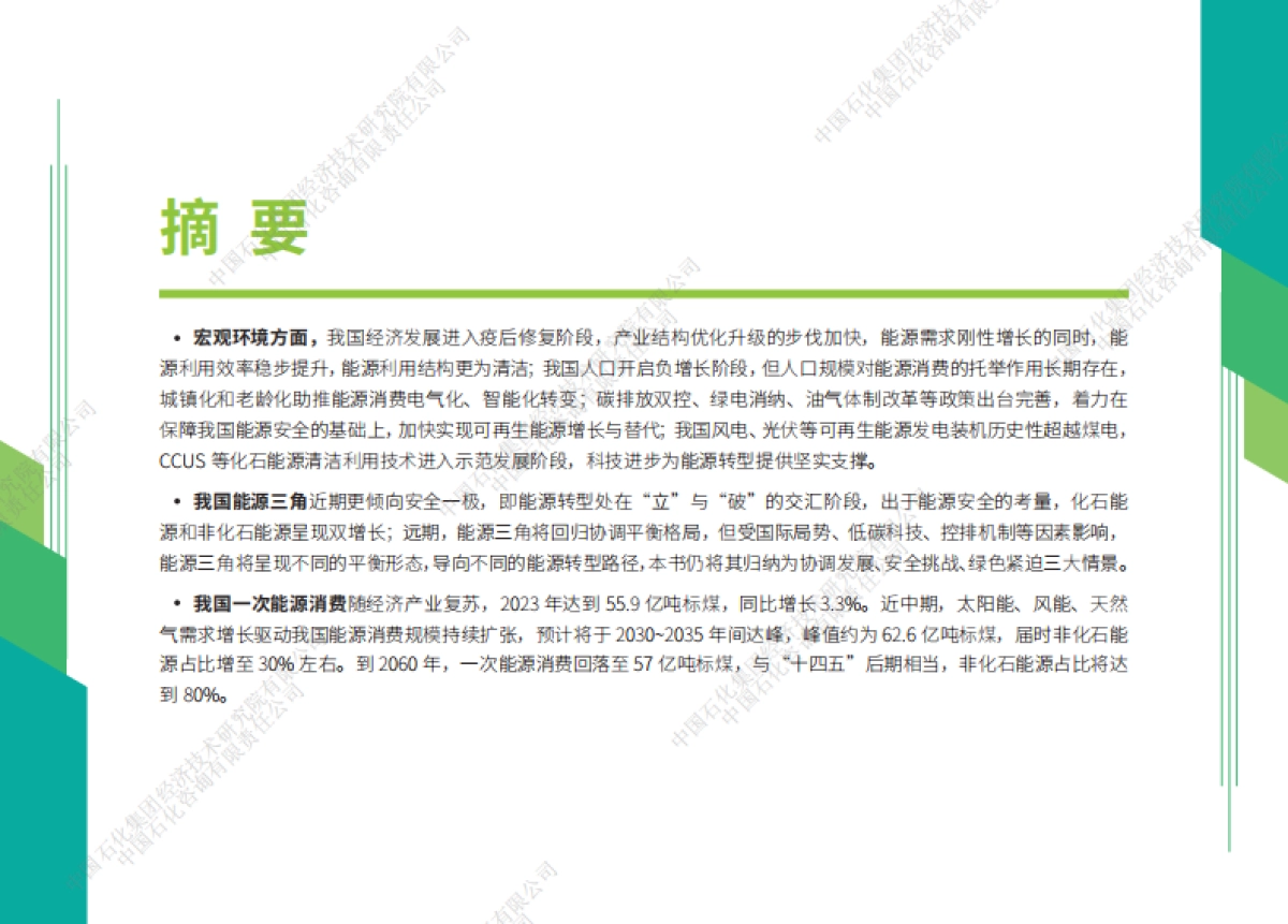 中国石化-中国能源展望2060_第5页