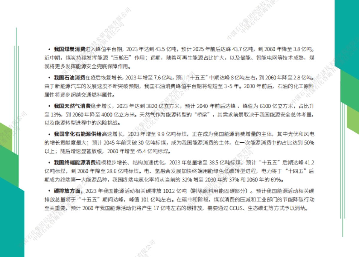 中国石化-中国能源展望2060_第6页