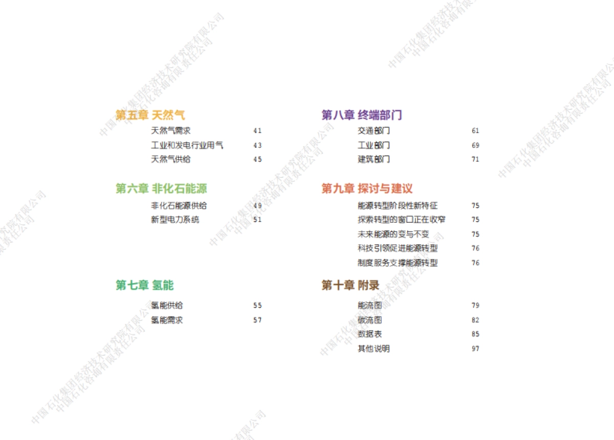 中国石化-中国能源展望2060_第8页