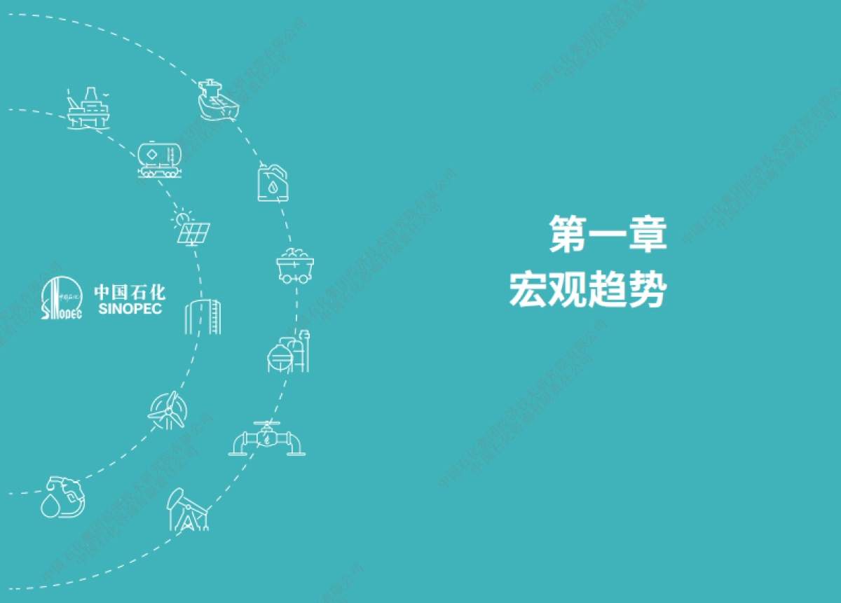 中国石化-中国能源展望2060_第9页