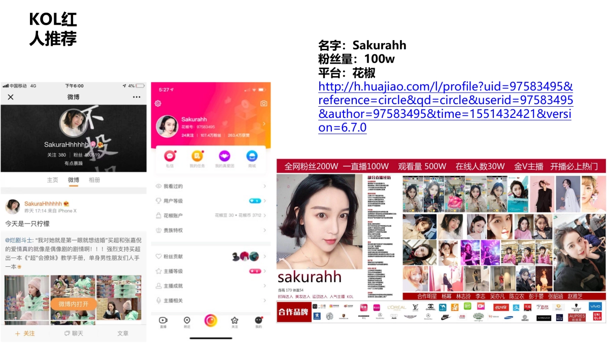 2019美食挑战赛媒体方案_第9页