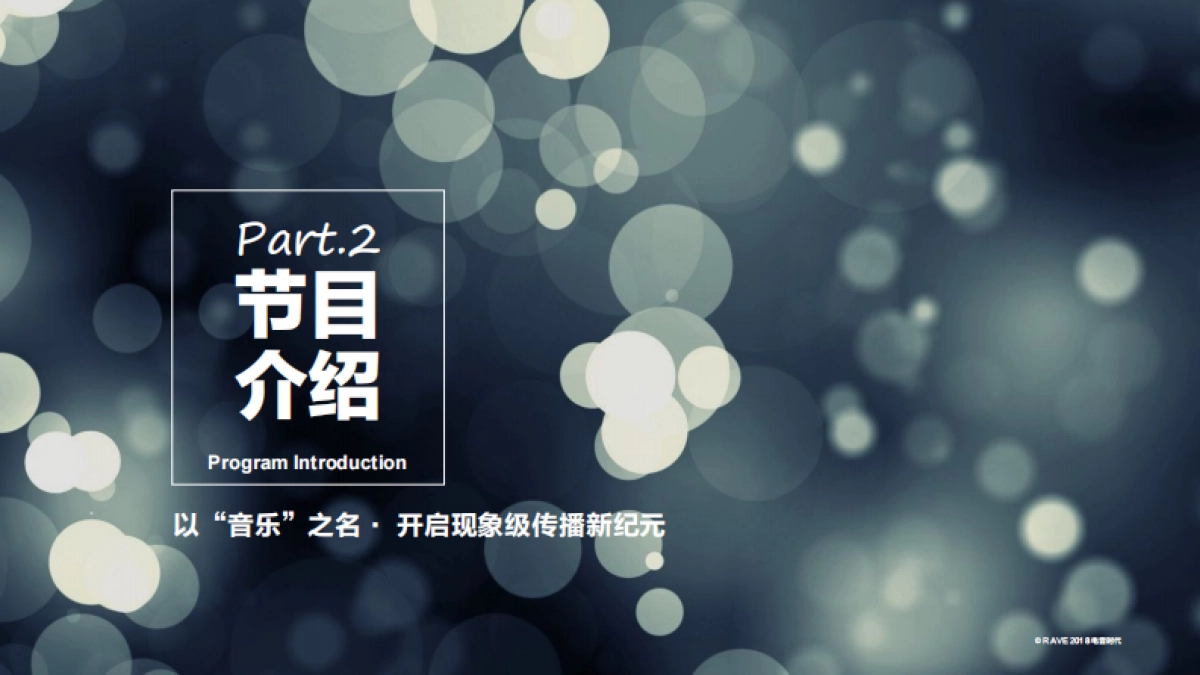 《即刻电音》Rave节目方案_第10页