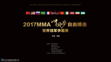 2017MMA中国梦自由搏击世界冠军争霸赛策划案