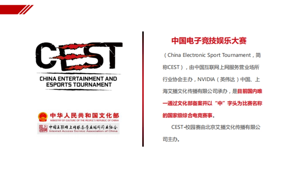 2017球球大作战校园挑战球球宝贝选拔赛赛事规划方案_第8页