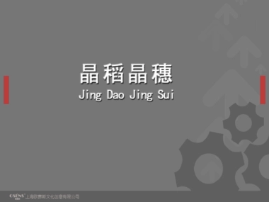 晶稻晶穗品牌设计规划手册-方案-欧赛斯