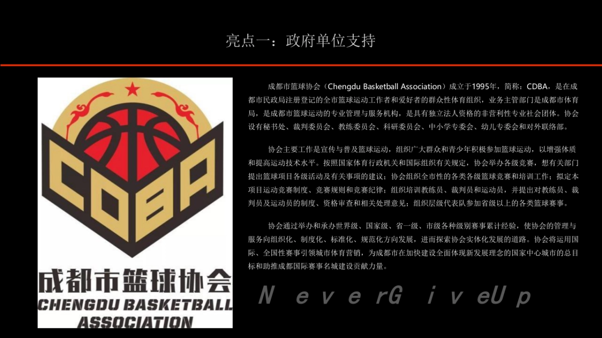 2020某品牌三人篮球挑战赛（热血燃烧·迎“篮”而上主题）活动策划方案_第10页