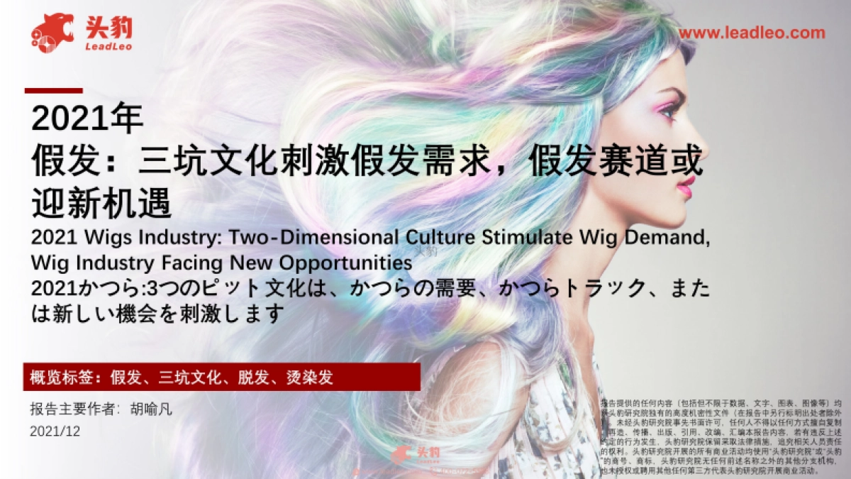 2021年假发：三坑文化刺激假发需求，假发赛道或迎新机遇_第1页