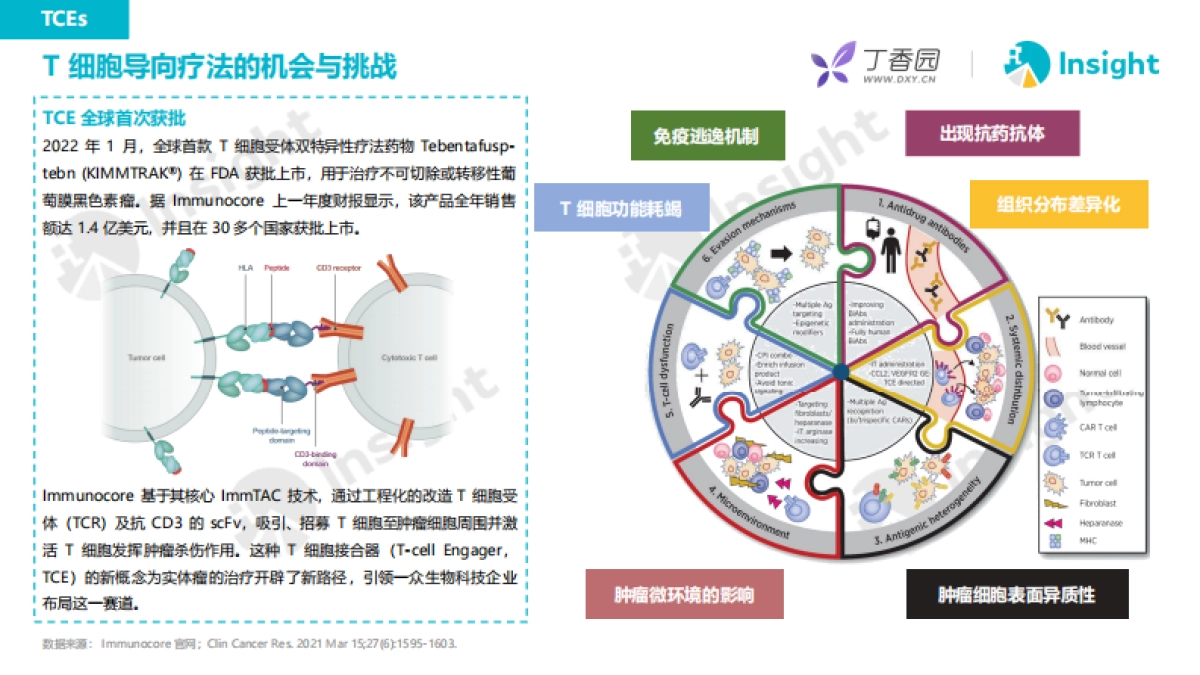 丁香园-2023AACR新药热门赛道亮点解析_第9页