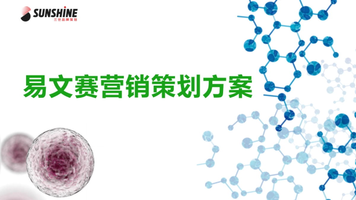 易文赛营销策划方案_第1页