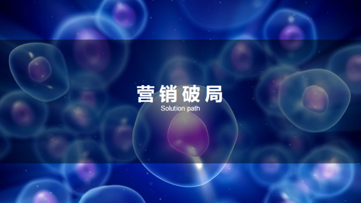 易文赛营销策划方案_第6页