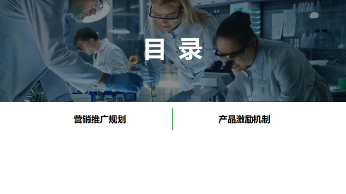 易文赛营销策划方案_第9页